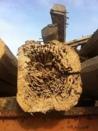 Traitement bois de charpente à Niort